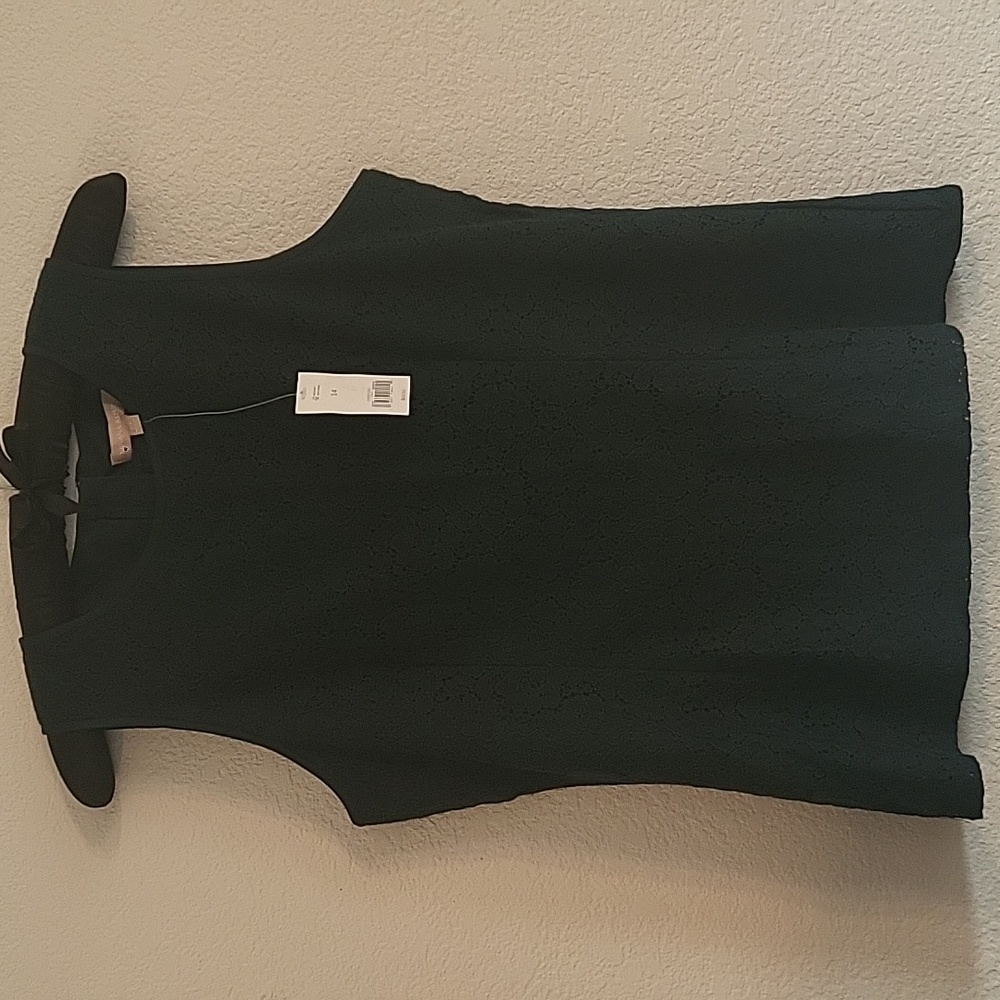 NWT Banana Republic Sleeveless Lined Lace & Zip Dark Hunter Green Blouse Sz 14